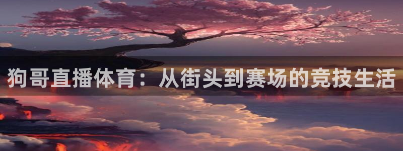 狗哥直播体育：从街头到赛场的竞技生活