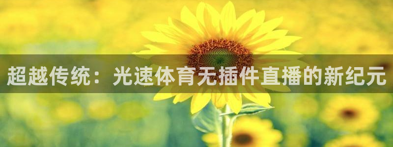 超越传统：光速体育无插件直播的新纪元
